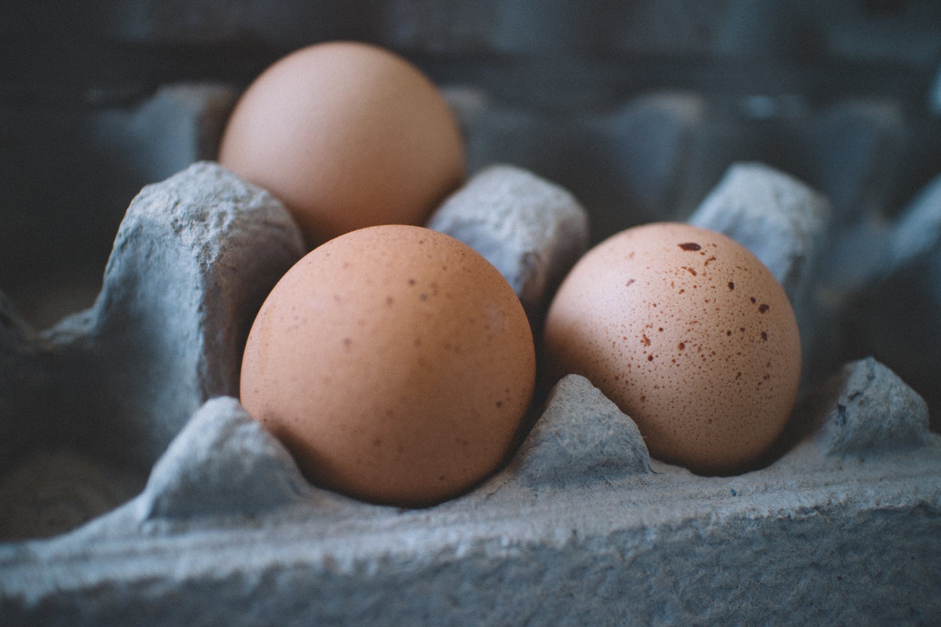 Can I Eat Fertilized Chicken Eggs? Plus Other Frequently Asked Questions About Eggs